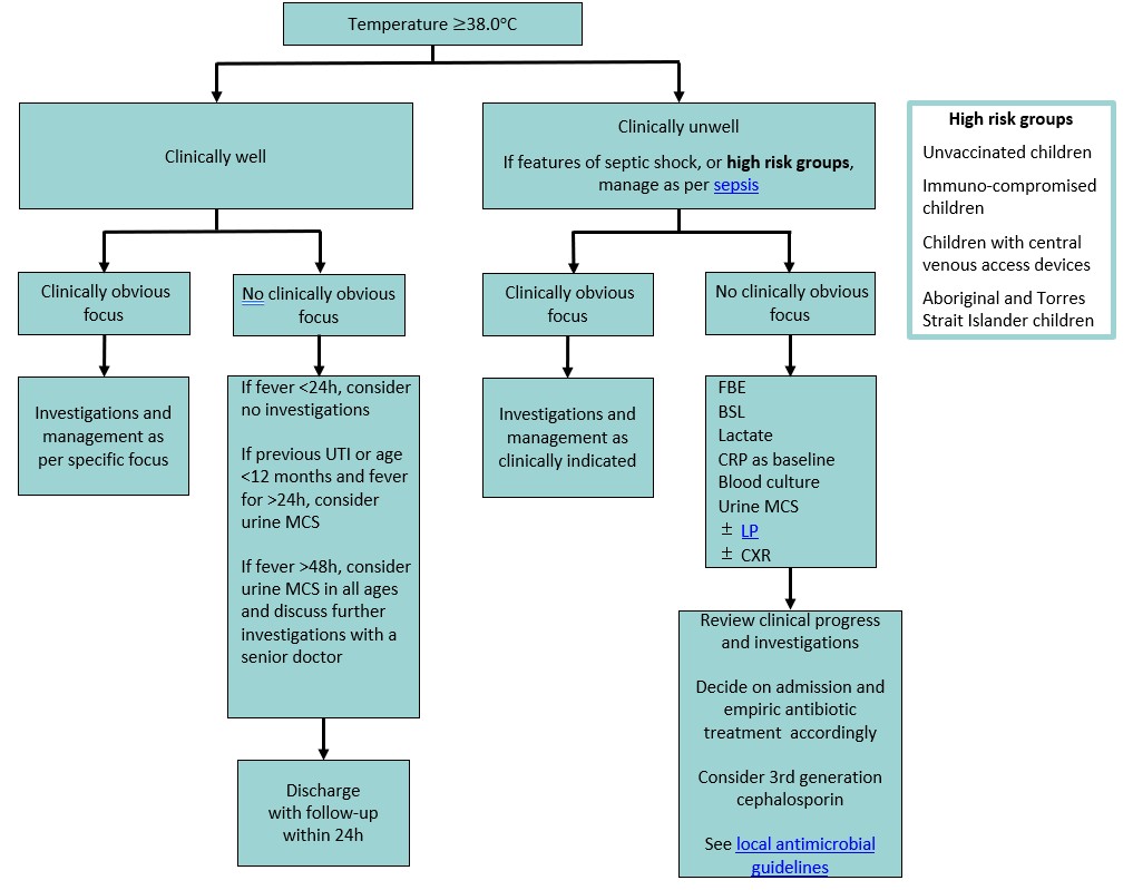 febrile chlid CPG_flowchart2 febrile chlid CPG_flowchart2